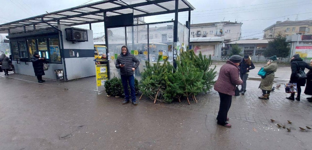 Ялинки поза законом - у центрі Кам'янського нелегально торгували соснами