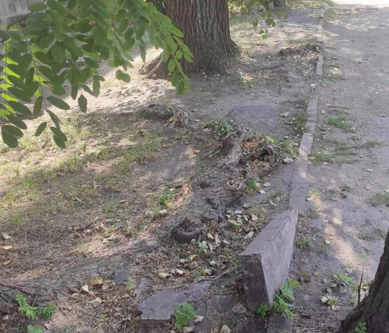 "Центр відкрили, а про ями, сміття та розтрощену дорогу поруч забули", - кам'янчани «підірвали» соцмережі