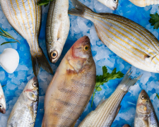 Як вибрати найсвіжішу рибу на ринках Кам’янського та не дати себе ошукати: поради від бувалих