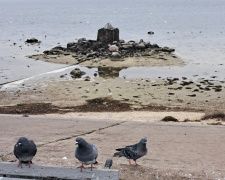 «Тут ми плавали, а тепер ходимо пішки»: мешканка Кам’янського зафіксувала критичне обміління Дніпра