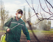 Чим обробити дерева в саду у квітні, щоб врятувати врожай від шкідників: поради для дачників Дніпропетровщини
