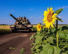 На Дніпропетровщині танковий полігон незаконно здавали в оренду фермерам під вирощування соняшника - подробиці