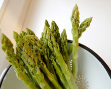 Золото на грядках: як жителям Дніпропетровщини виростити врожай дорогої спаржі вже цієї весни