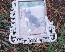 У Кам&#039;янському вандали осквернили місця поховання тварин: що треба зробити власникам