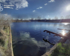 Забруднення земель на 28 млн грн у Кам’янському районі: підозра посадовцю