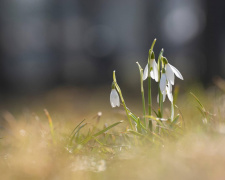 Лютий іде з боєм: у Кам’янському оголошено про різку зміну погоди з суботи