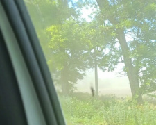 Пилова буря на Дніпропетровщині: потужний вітер накрив трасу між районами