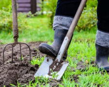 Помилки, що залишать без урожаю: що категорично не можна робити на городі у квітні дачникам Дніпропетровщини
