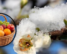 Агросезон на Дніпропетровщині: весняні виклики та надії на врожай