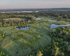 Дніпровсько-Орільський заповідник