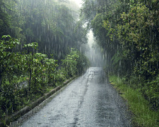 Дощі та спека - синоптики обіцяють кам&#039;янчанам класичне літо цього тижня