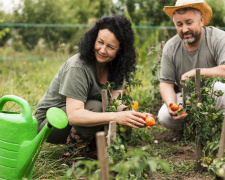 Секрет рекордного врожаю на Дніпропетровщині: що посадити поруч, щоб овочі росли як на дріжджах
