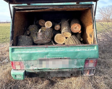 Поліцейські затримали у лісосмузі Кам&#039;янського чоловіка, який незаконно спилював дерева - подробиці