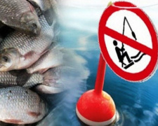 Зимова заборона на вилов риби: які ділянки Кам’янського водосховища потрапили під обмеження