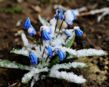 Святковий сюрприз у Кам’янському: якими будуть вихідні 7-8 березня