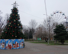 У Кам’янському відкрили зимовий сезон розваг: скільки коштують покатушки у Центральному парку