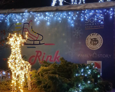 У Кам’янському світлові фігури оленів стали головною прикрасою ковзанки та парку