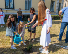 У Кам&#039;янському в пам&#039;ять про загиблих на війні земляків висадили калинову алею