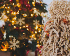 Замість ялинки - дідух: екологи нагадують про прадавні українські зимові традиції та закликають не нищити ліси