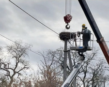 ФОТОФАКТ: в Кам&#039;янському районі енергетики встановили платформу для гнізд лелек - подробиці