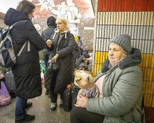 Що робити, якщо з твариною не пустили в укриття - відповідь юриста