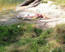 Небезпека на воді: у Кам&#039;янському чоловік втопився у лівобережному каналі