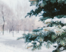 Погода з 15 по 19 грудня: синоптики розповіли, яким буде наступний тиждень у Кам’янському