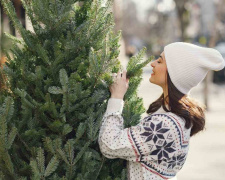 Як обрати якісну штучну ялинку до зимових свят: всі ознаки, на які варто звертати увагу