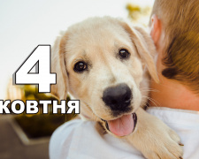 Сьогодні забороняється пускати до оселі незнайомих людей - традиції та прикмети 4 жовтня