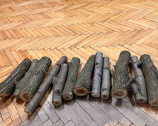 На Дніпропетровщині виконавча служба продає на аукціоні &quot;арештовані&quot; чурбаки акації - соцмережі вибухнули жартами