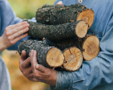 Дрова за пів ціни: де найвигідніше купувати паливо в розпал сезону 2025