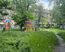У Кам’янському замість дитячих майданчиків – джунглі