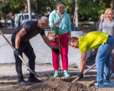 У Кам’янському оновлюють зелені зони у скверах та біля навчальних закладів - подробиці