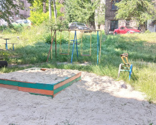 У Кам&#039;янському дитячі майданчики в аварійному стані: хто несе відповідальність та куди звертатися мешканцям