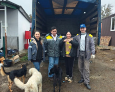 Корми, ліки та тепло: на Дніпропетровщині енергетики допомогли притулку для тварин