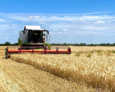  Жнива на фінішній прямій: аграрії Дніпропетровщини зібрали майже два мільйони тонн урожаю