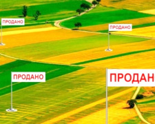 Гектари на мільйони: як фальшиві рішення суду ледве не залишили громаду Кам’янського району без землі