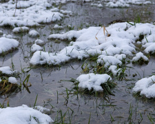 Підтоплення полів на Дніпропетровщині: чому лютнева відлига загрожує озимині