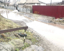 У Кам’янському болото замість дороги на вулиці Водяна