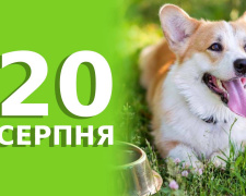 Сьогодні не слід залишати малих дітей самих у кімнаті - традиції та прикмети 20 серпня