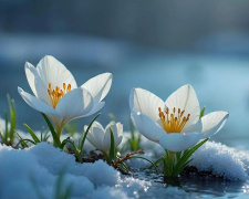 Морози чи відлига: синоптики розповіли, якою буде погода на вихідних 14 та 15 лютого у Кам’янському