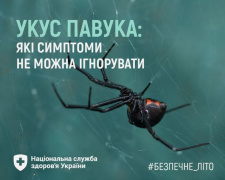"Чорна вдова" атакує Дніпропетровщину: медики розповіли про небезпеку зустрічі з каракуртом