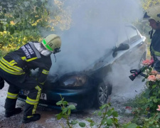 Під Кам&#039;янським згорів Daewoo Lanos - відео