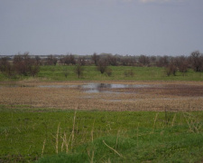 Чому водойми Дніпропетровщини зникають та чи є шанс їх урятувати
