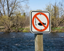 Нерестова заборона 2026 на Дніпропетровщині: де категорично не можна рибалити та які штрафи