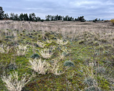 На Дніпропетровщині заповідник запустив подкаст із ведучими, створеними штучним інтелектом – подробиці