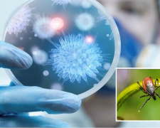 Епідемічна ситуація на Дніпропетровщині: на ГРВІ хворіють частіше, а сезон кліщів лише починається