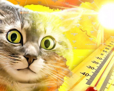 На Дніпропетровщину суне пекельна спека до +40°C: як врятувати організм від перегріву