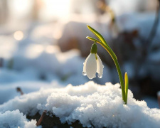 На Дніпропетровщину завітала метеорологічна весна: зима тривала лише два місяці