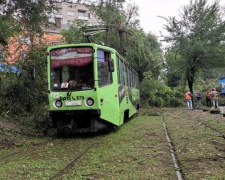 Як транспортники Кам&#039;янського усували наслідки негоди